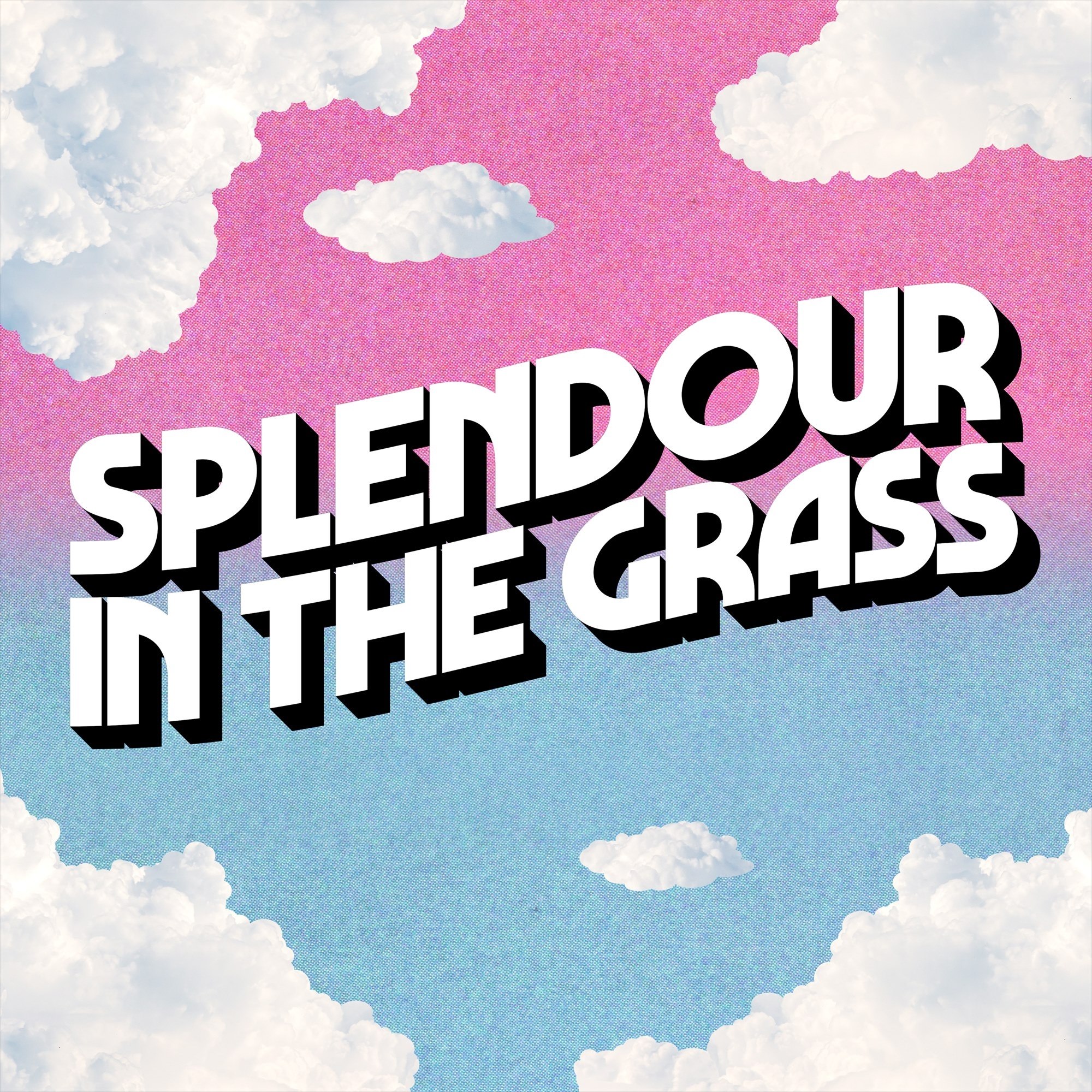Splendour artwork